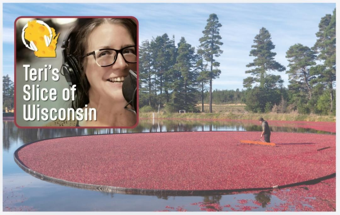 Tiny Fruit Means Big Business for the Cranberry Capital